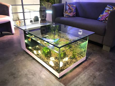 Description of Fish Tank Designs