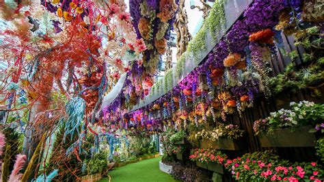 Floral Fantasy Boho Booth