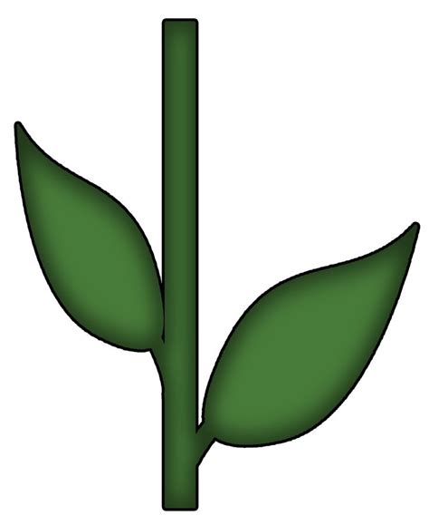 Description of Flower Stem Templates