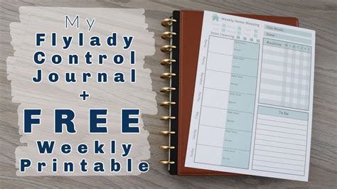 Fly Lady Control Journal