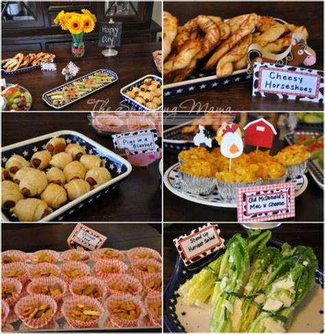 Food and Drinks for a Farm Birthday Party