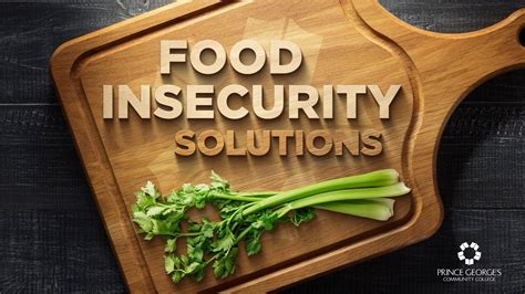 Description of Food Insecurity Solutions