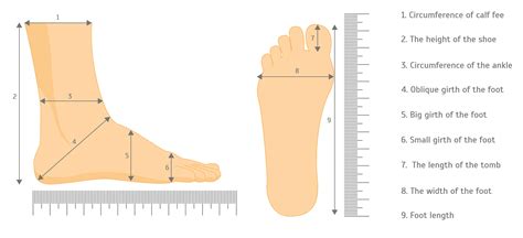 Description of Foot Measurement Techniques