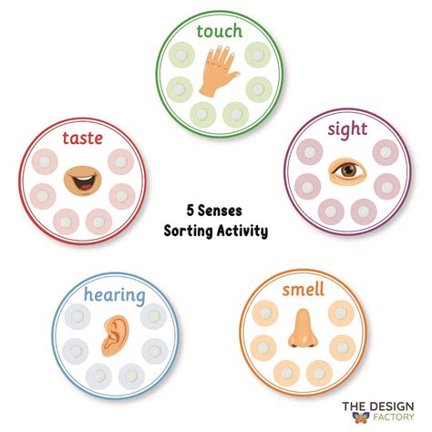 Free 5 Senses Sorting Printables Resources