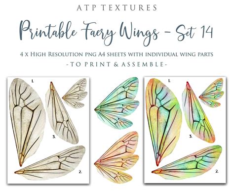 Free fairy wing templates for download