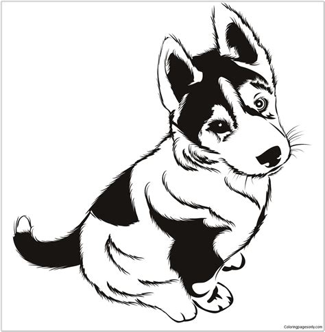 Free husky coloring pages