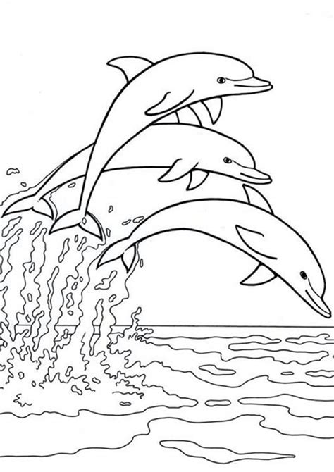 Free printable dolphin coloring