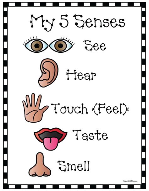 Free Printables for Teaching the 5 Senses