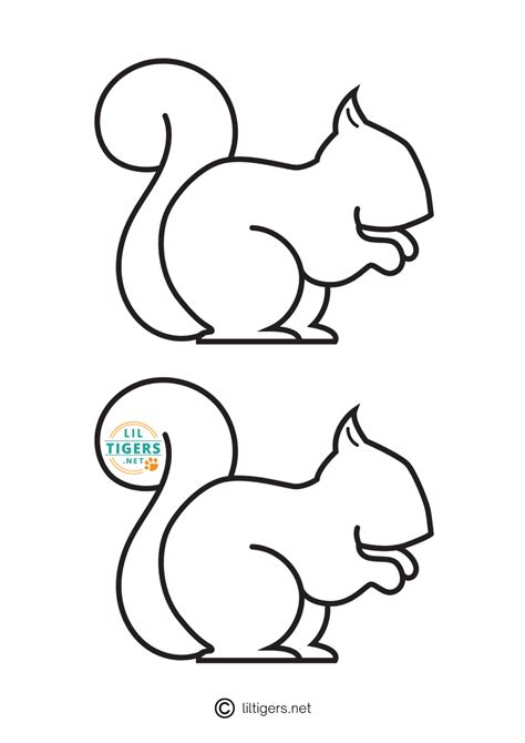 Free Squirrel Templates