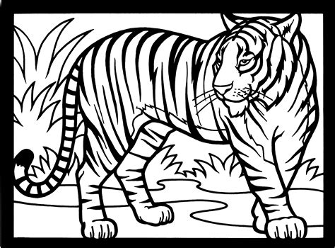 Free tiger coloring pages for adults