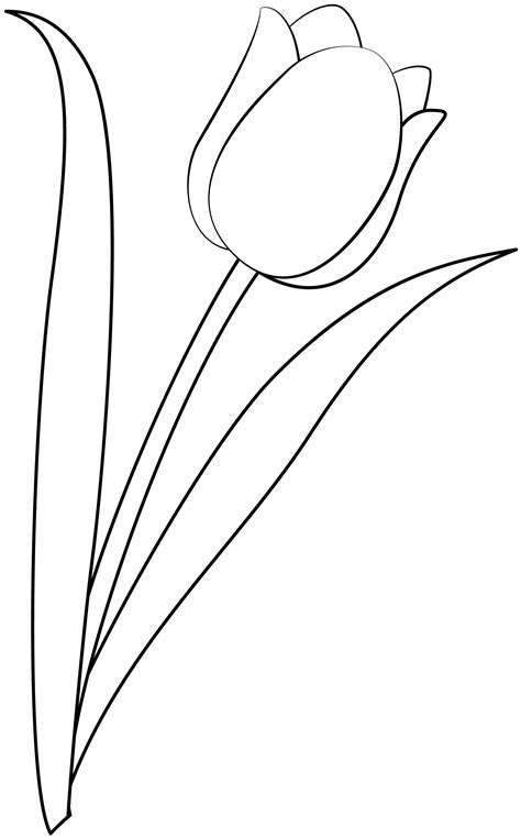 Free Tulip Template Printable 1