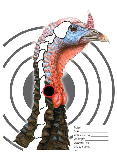 Free Turkey Targets