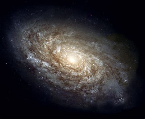 Galaxy Image