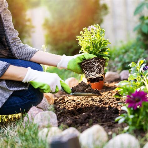 Description of Gardening Care