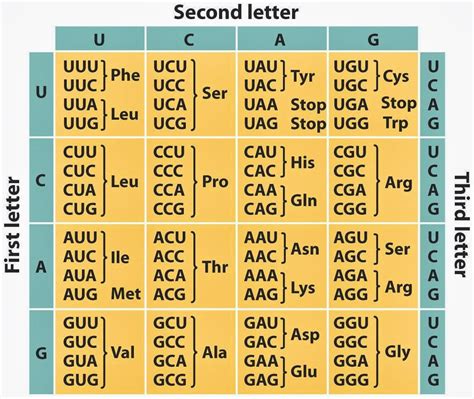 Genetic Code Table