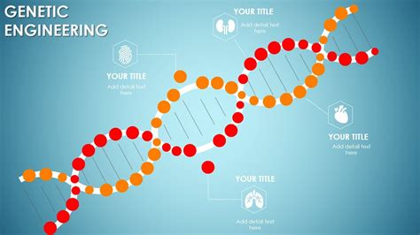 Genetics Template Example