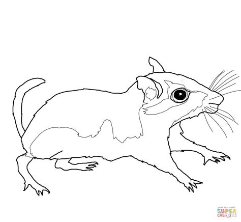 Gerbil Coloring Pages