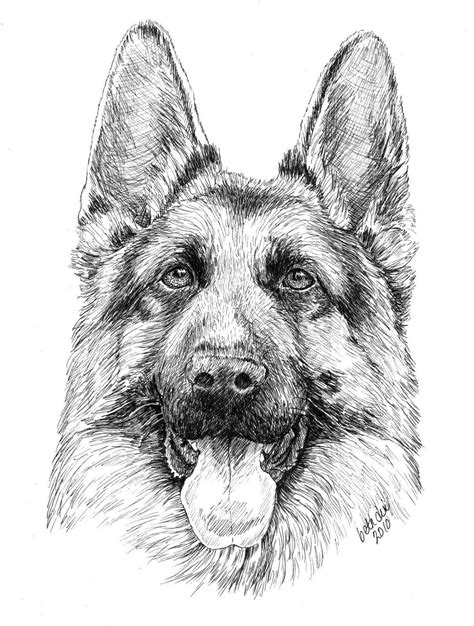 German Shepherd coloring page