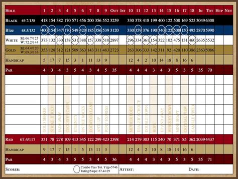 Golf Scorecard Organization