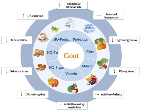 Gout diet image 7