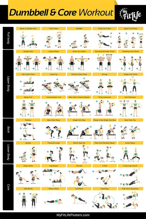 Gym Exercise Routine