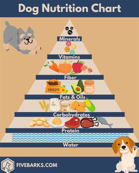 Healthy Dog Diet