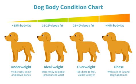 Healthy Puppy Weight