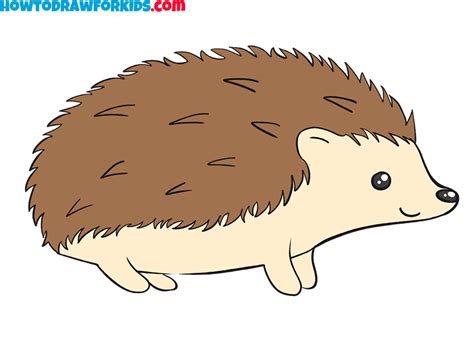 Hedgehog drawing