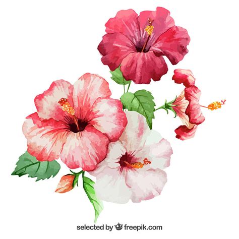 Hibiscus Digital Art