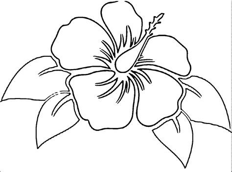 Hibiscus Printable