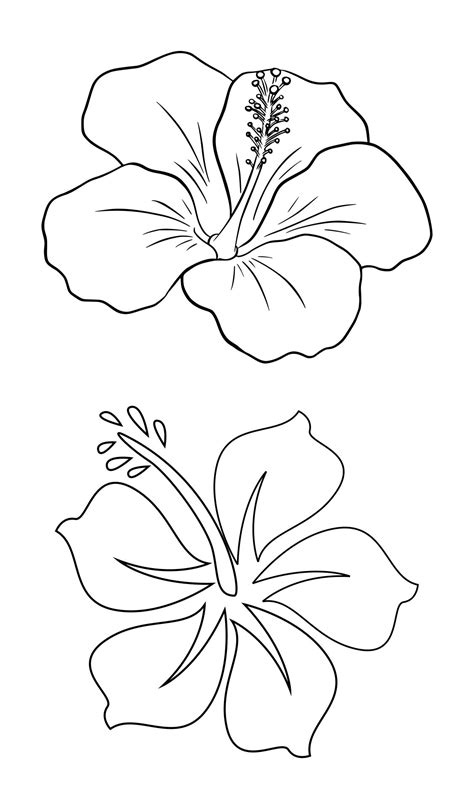 Hibiscus Template Ideas