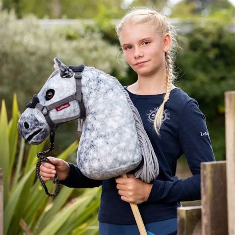 Description of Hobby Horse Heads