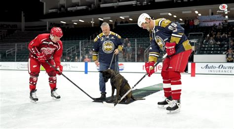 Hockey Game Image 6