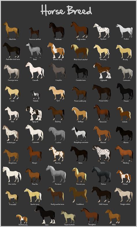 Horse Breed Charts Introduction