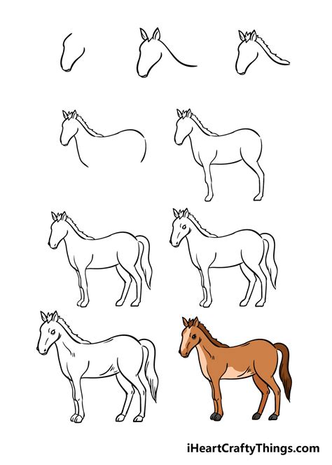 Horse Drawing Tutorials