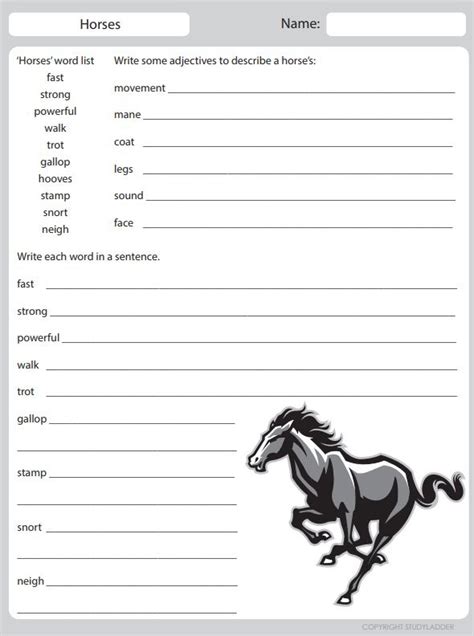 Horse Educational Activities