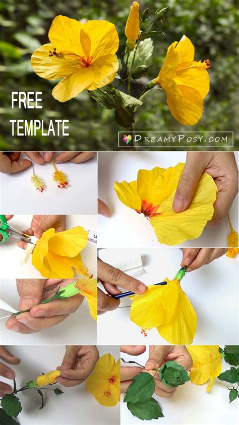 How to Use Hibiscus Templates