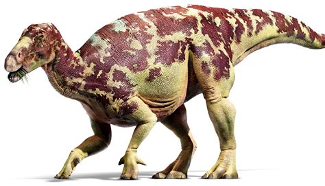 Iguanodon, one of the first discovered dinosaurs