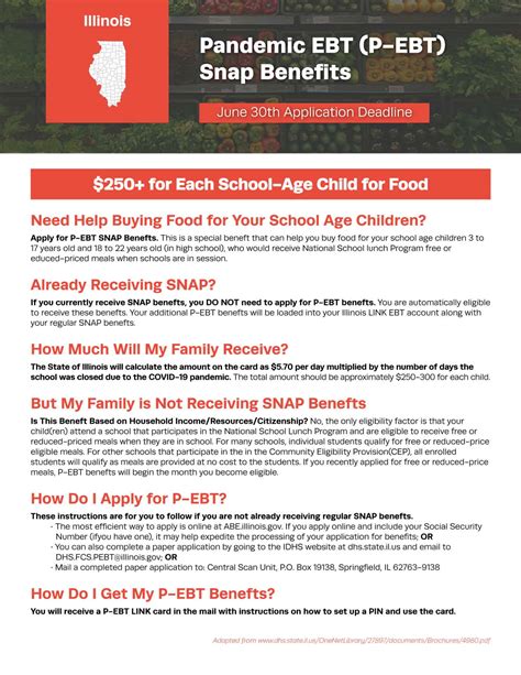 Illinois Summer EBT Challenges