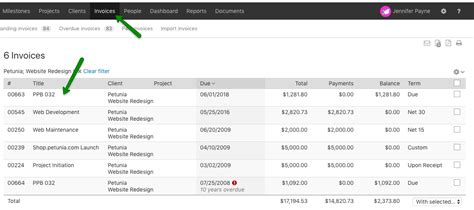 Import invoice software screenshot