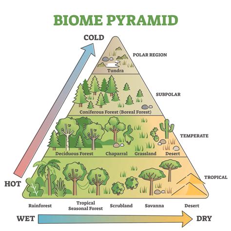 Importance of biomes