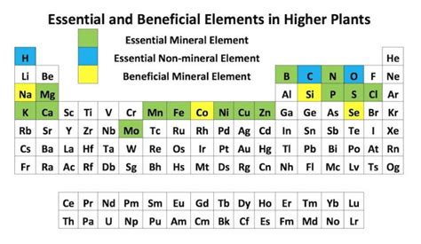 Essential Elements