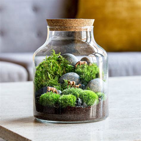 Indoor Terrarium Ideas