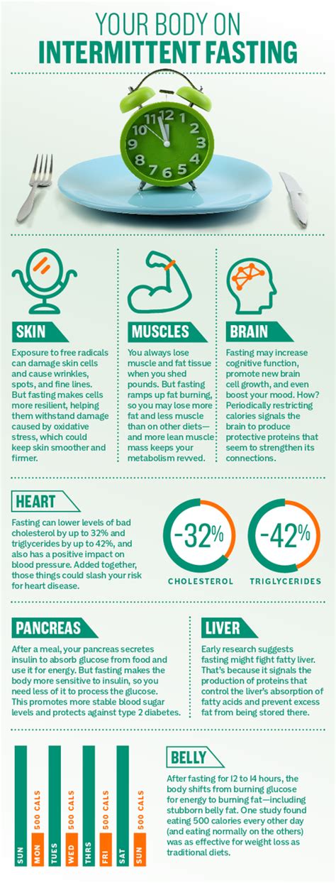 Intermittent Fasting Healthy Aging