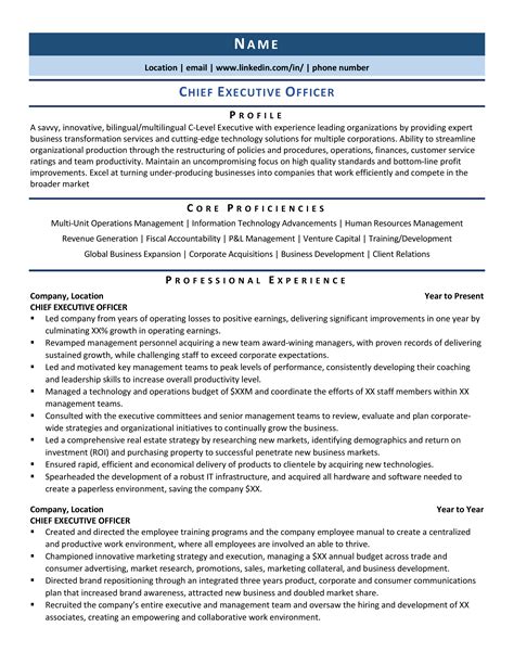 Description of International CEO Resume Examples