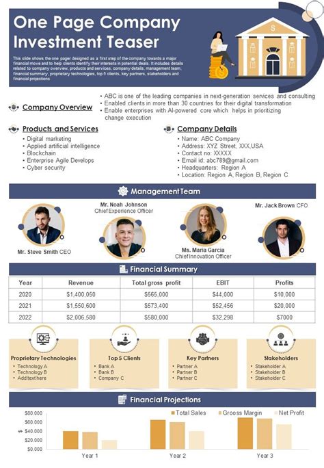 Investment Teaser Template Key Components