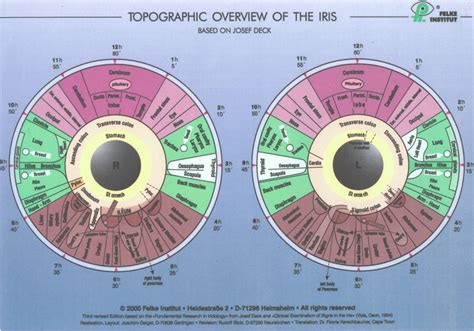 Iridology Chart Reading