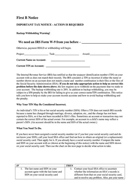 IRS B Notice Template Download