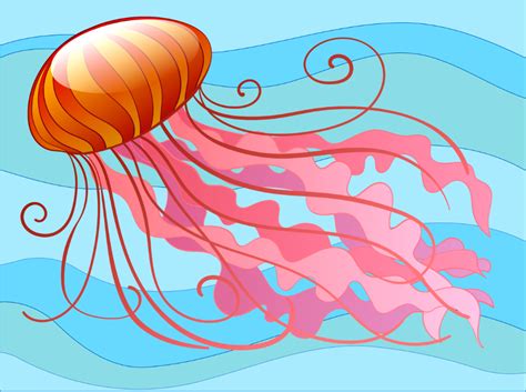 Jellyfish Illustrations Template