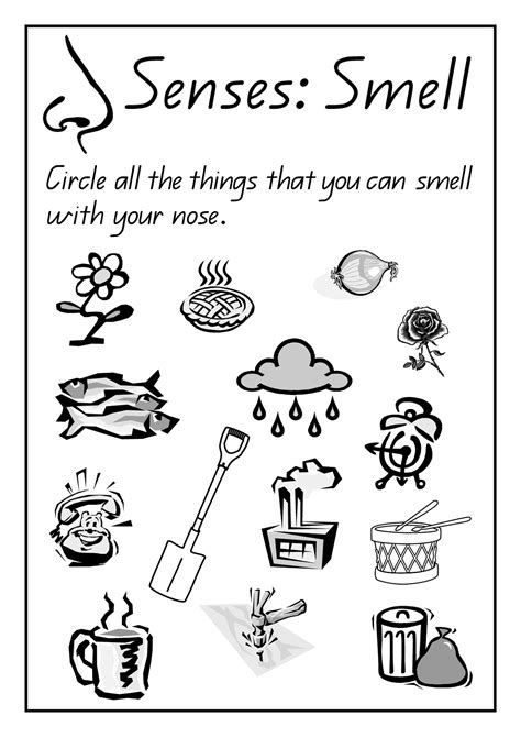 K5 Science Worksheets